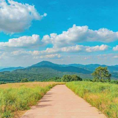 kaiyun体育官方网站全子站入口