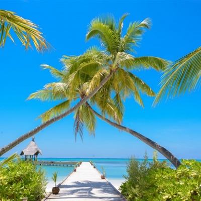 乐动体育网站官网版官方入口