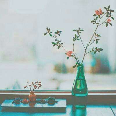 金沙js6666登录入口