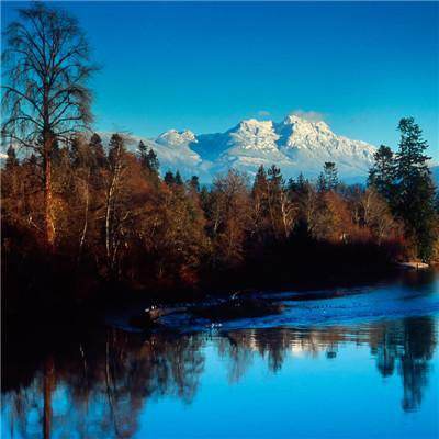 澳门威斯尼斯WNS888入口手机app下载截图