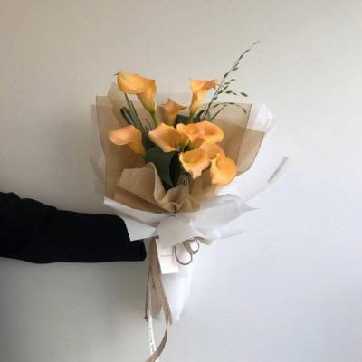 乐彩网app官方正版下载