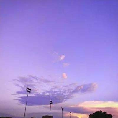 澳门4949资料免费大全手机app下载