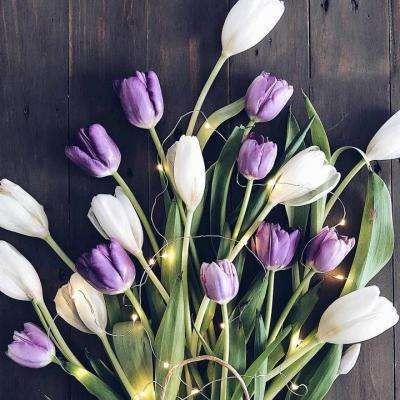 澳门太阳游戏城app下载手机版