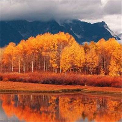 BOB体育登录入口APP下载ios