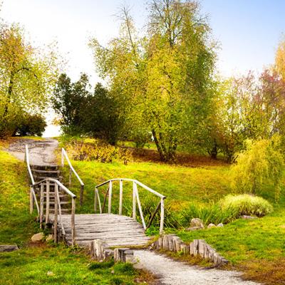 大发黄金版888下载