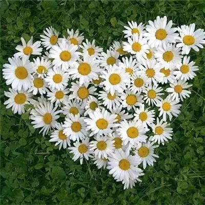 澳门·新葡萄新京威尼斯